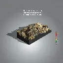 Ethiopia Worka Sakaro Gr 1  Yirgacheffee Carbonic Maceration (Single.webp