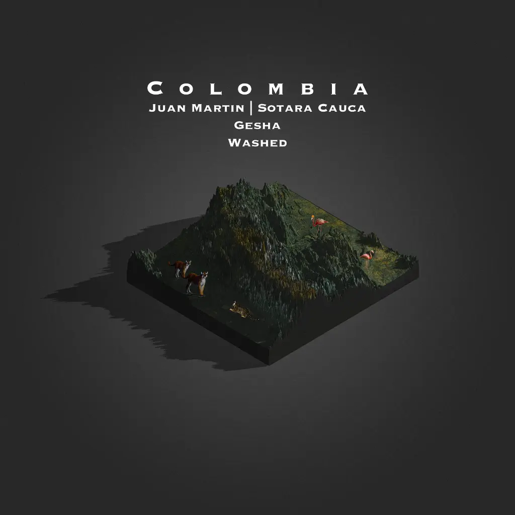 Colombia Juan Martin Washed Gesha  Sotara Cauca  MantaRayCoffee.webp