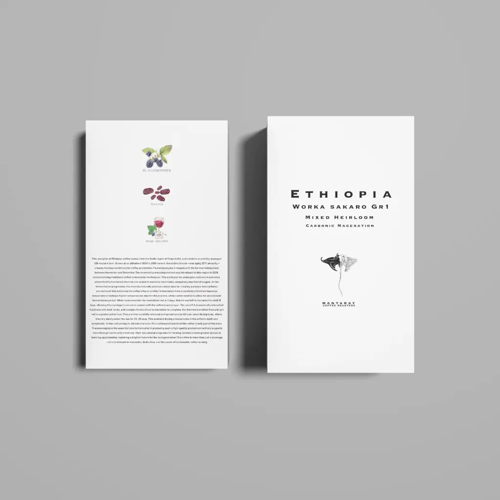 Ethiopia Worka Sakaro Gr 1 | Yirgacheffee Carbonic Maceration (Single Origin Espresso)
